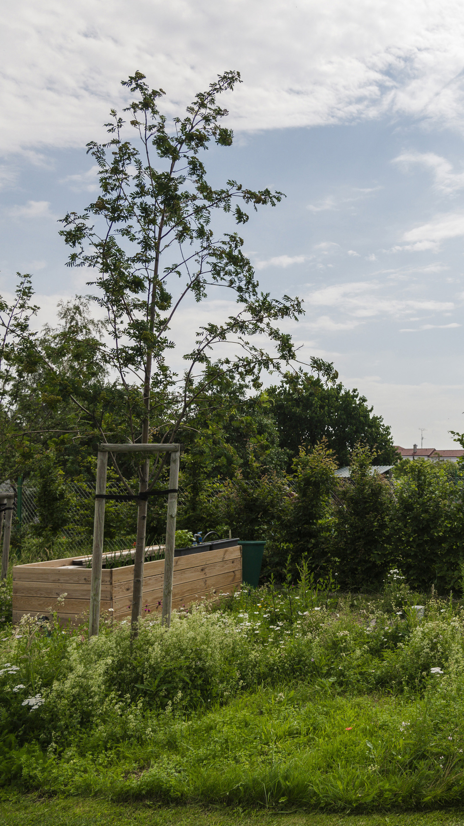 Záhradnické služby Gardenproject Pezinok - profesionálne záhrady 5