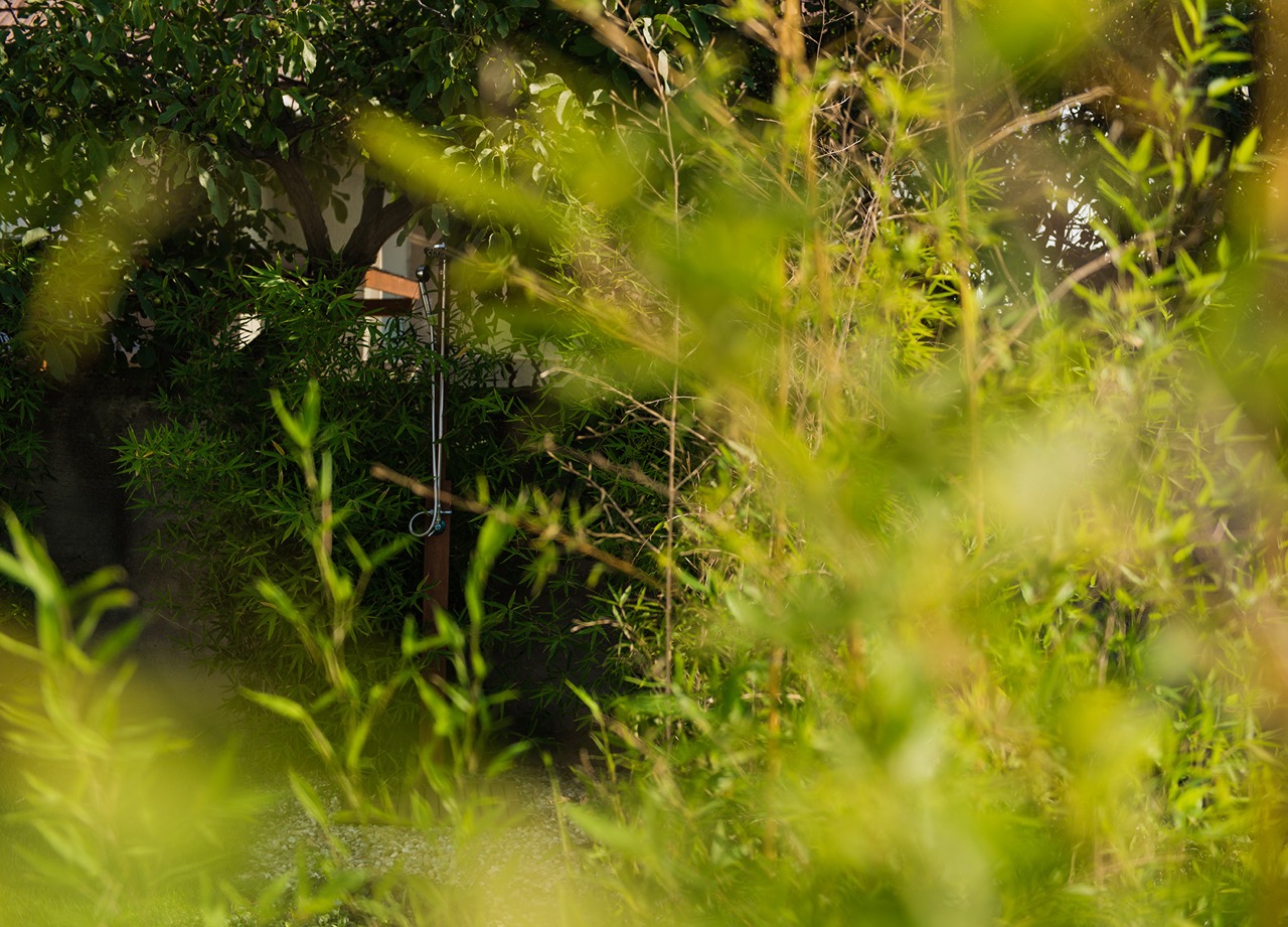 Ukážka projektu a navrhovania záhrady 2