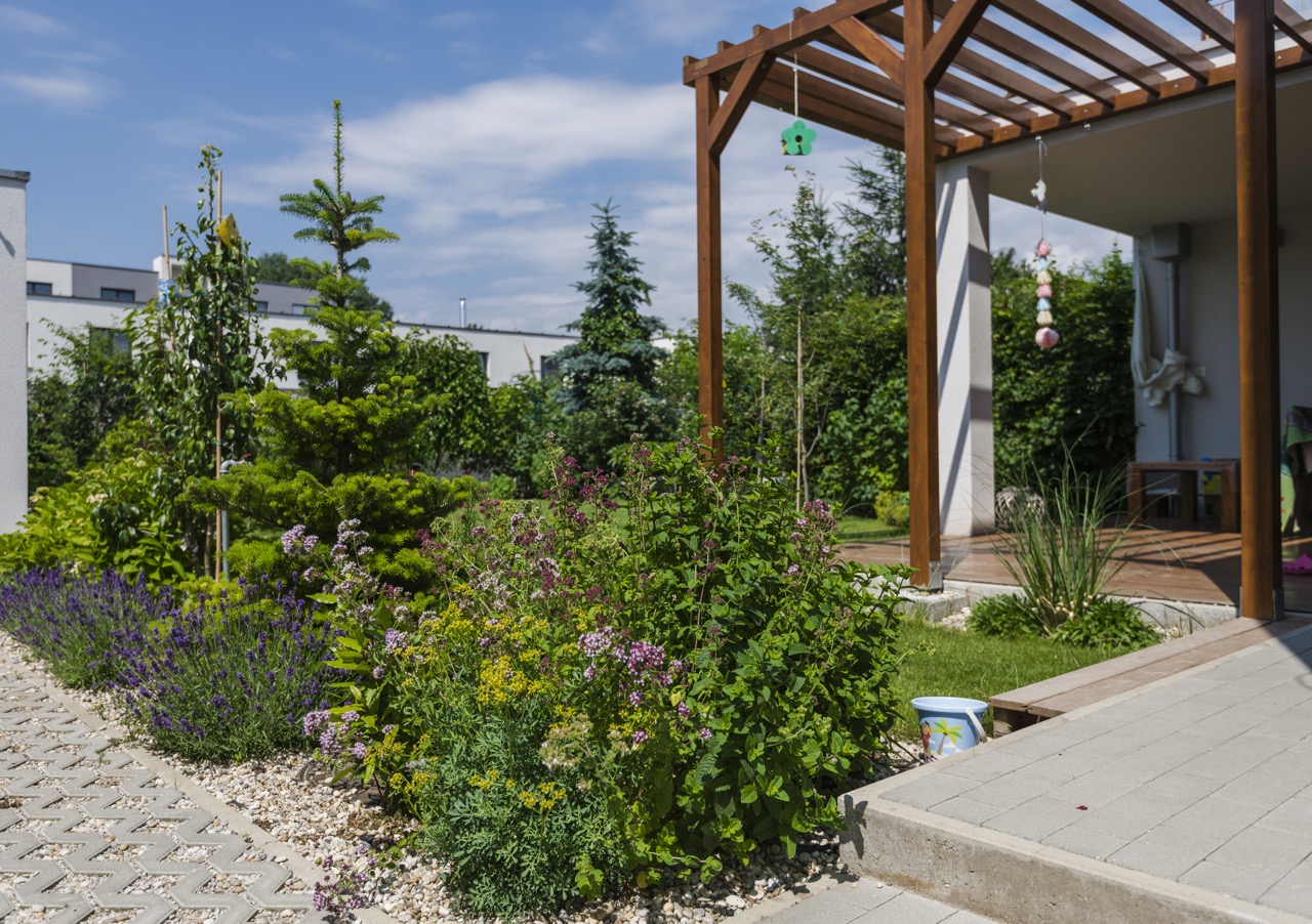 Ukážka projektu a navrhovania záhrady 5