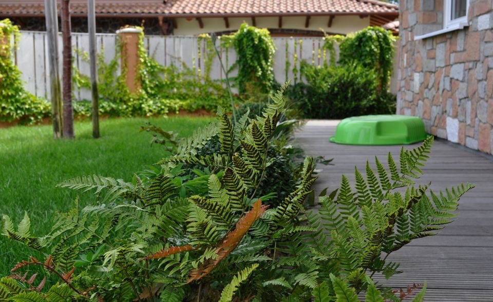 Ukážka projektu a navrhovania záhrady 9