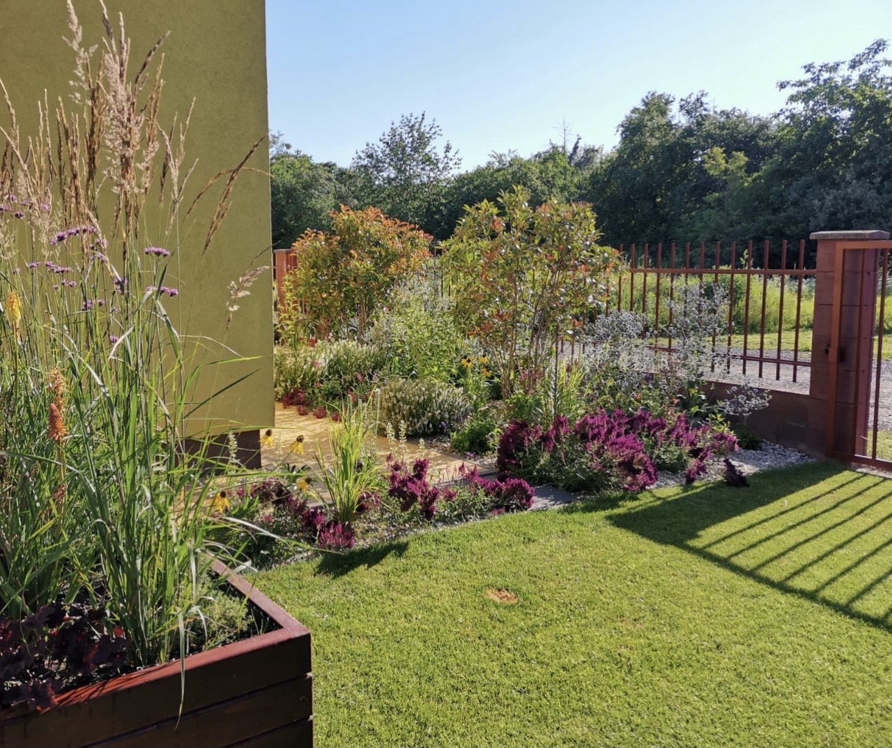 Trvalky do záhrady 1