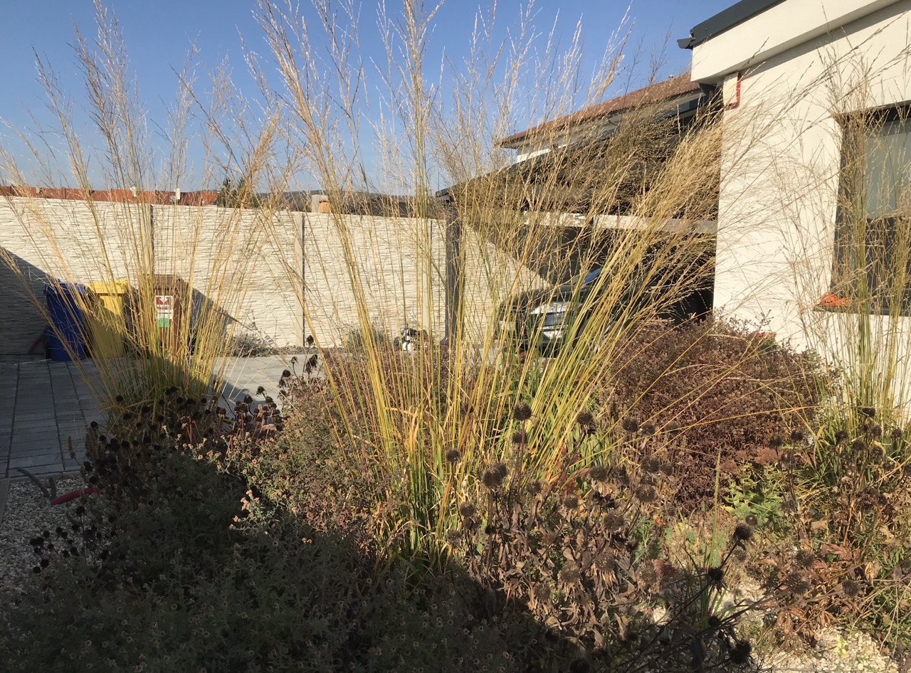 Trvalky do záhrady 6