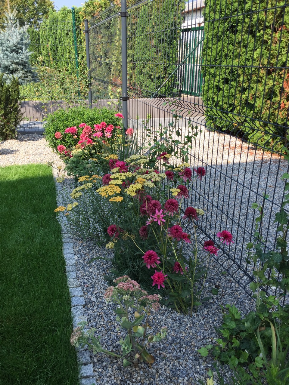 Trvalky do záhrady 8