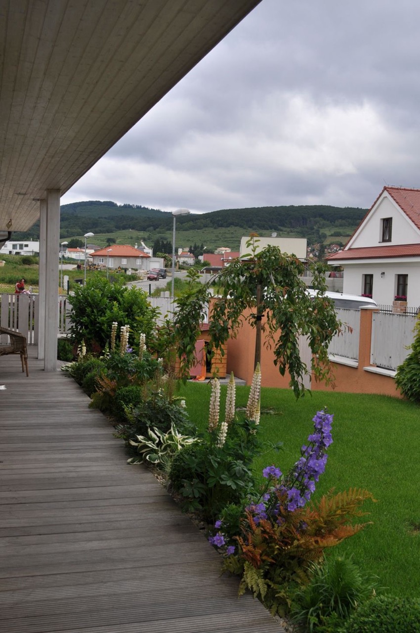 Trvalky do záhrady 9